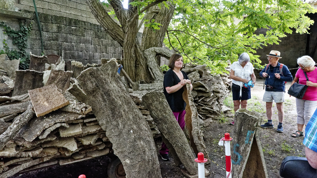 20230524 132955•Calangianus•Sardinia•Italy